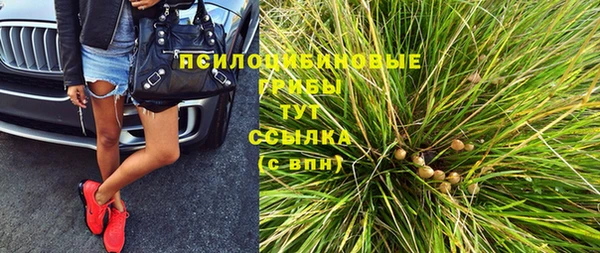 a pvp Абдулино