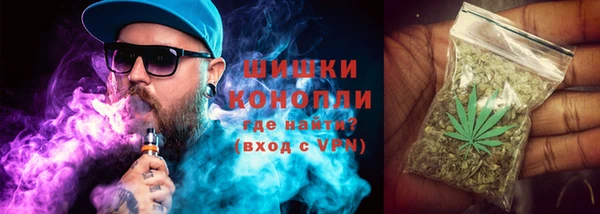 spice Абаза