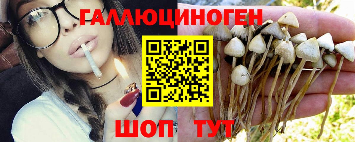 Псилоцибиновые грибы Psilocybine cubensis  Псилоцибиновые грибы Magic Shrooms  Котовск  где купить наркоту  Вход с VPN 